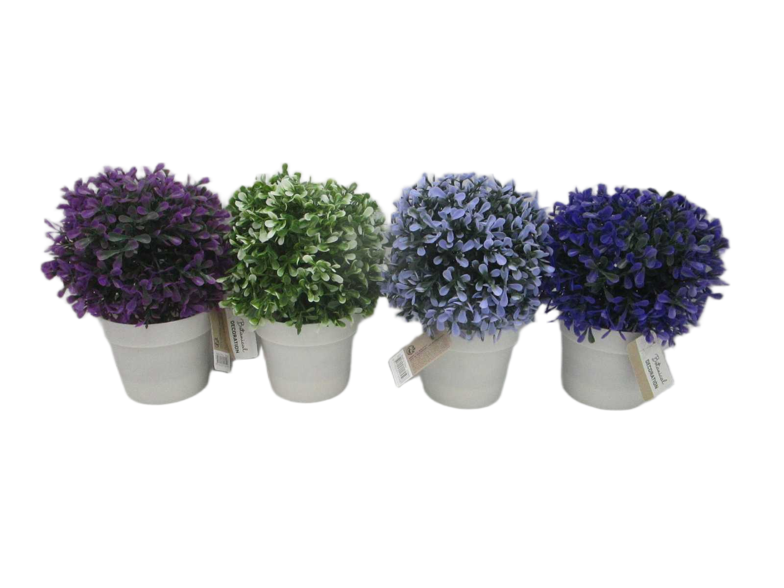 Herbe Deco In Pot White 20 C