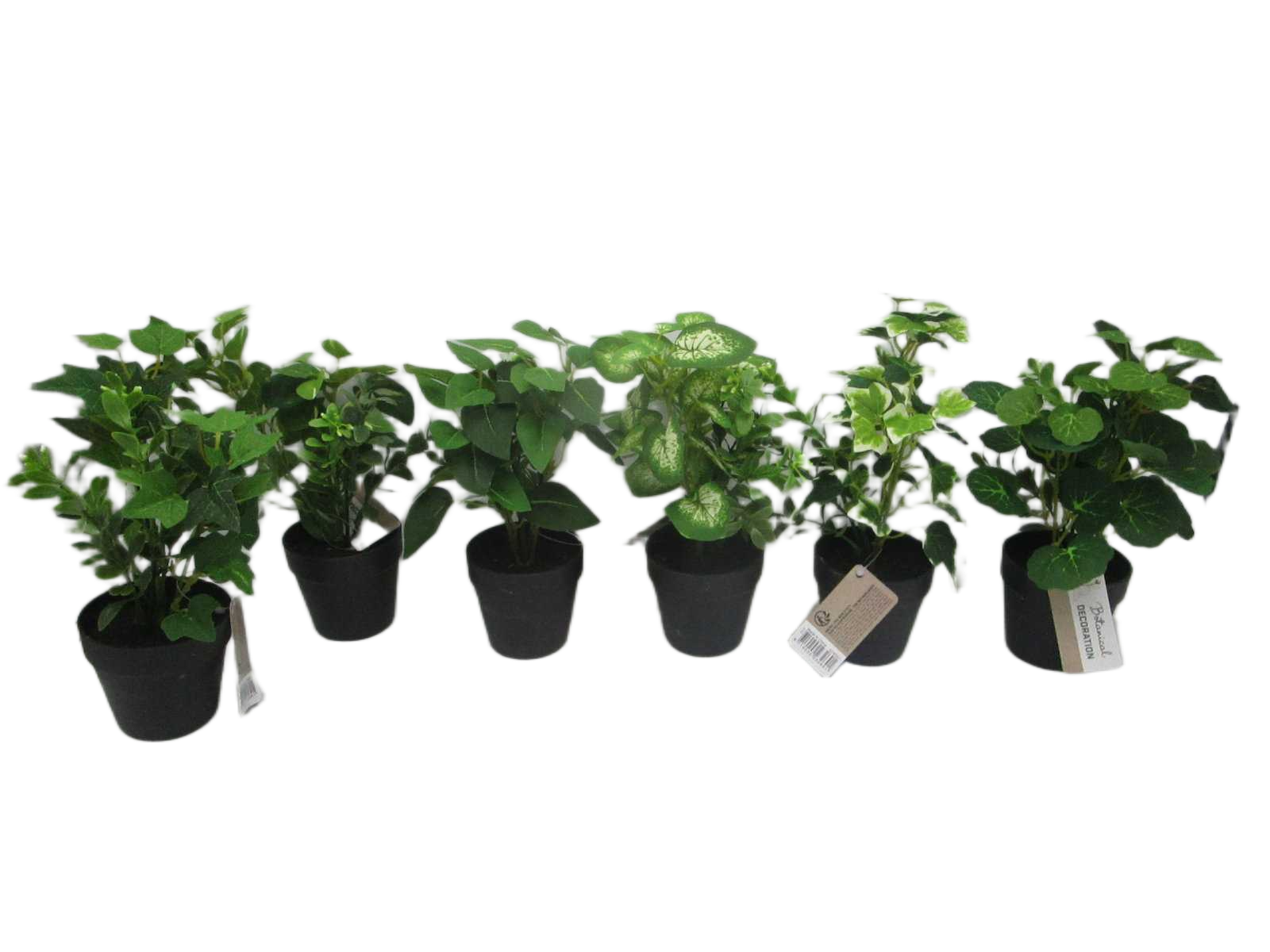 Plant In Pot Black Pp 20cm.
