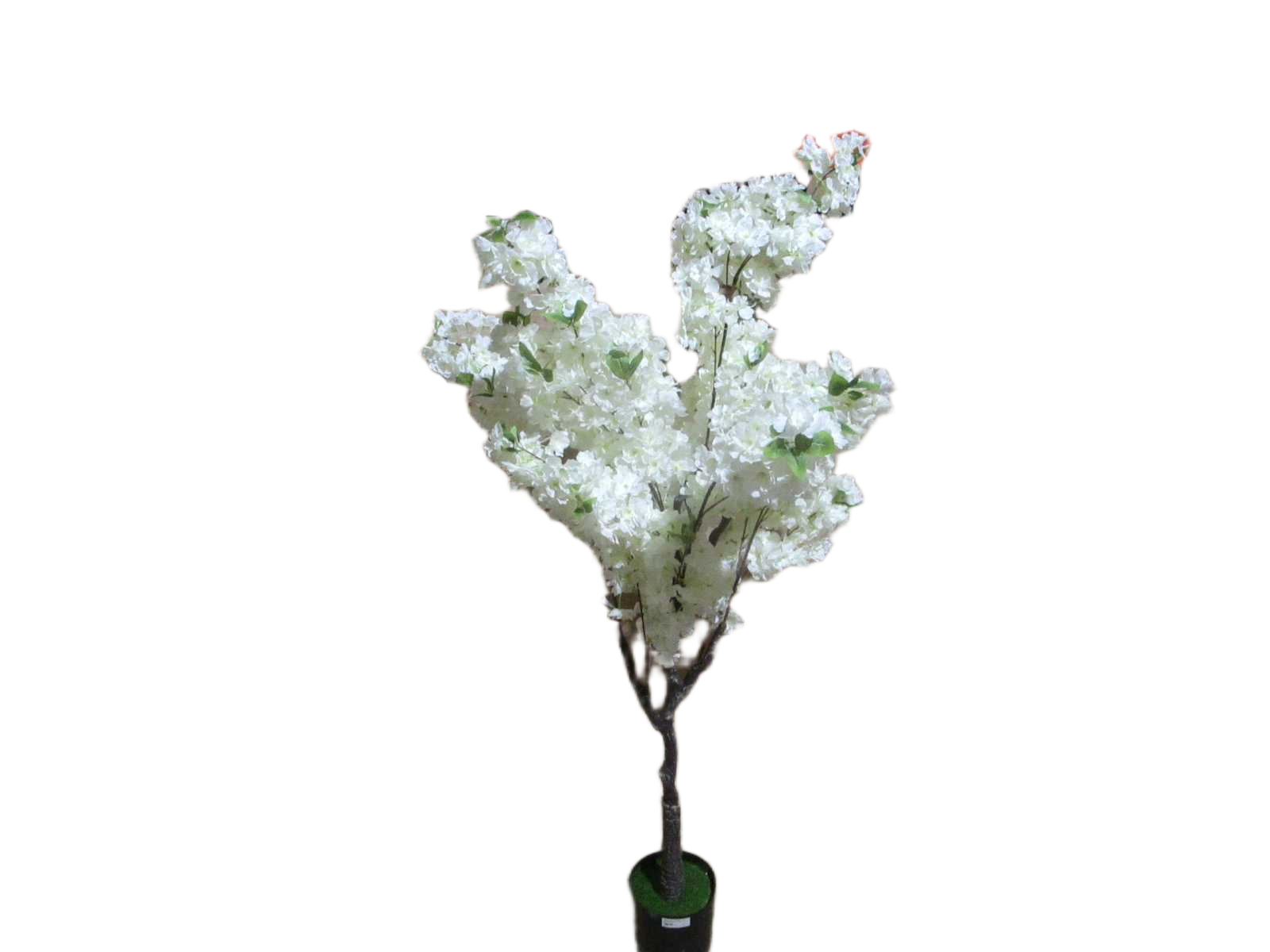 Artificial Plante White 1.55m