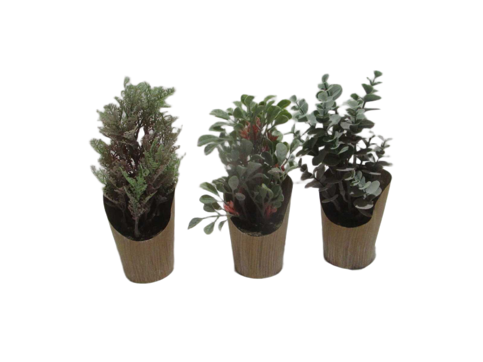 Mini Plant In Pot 9*h16cm