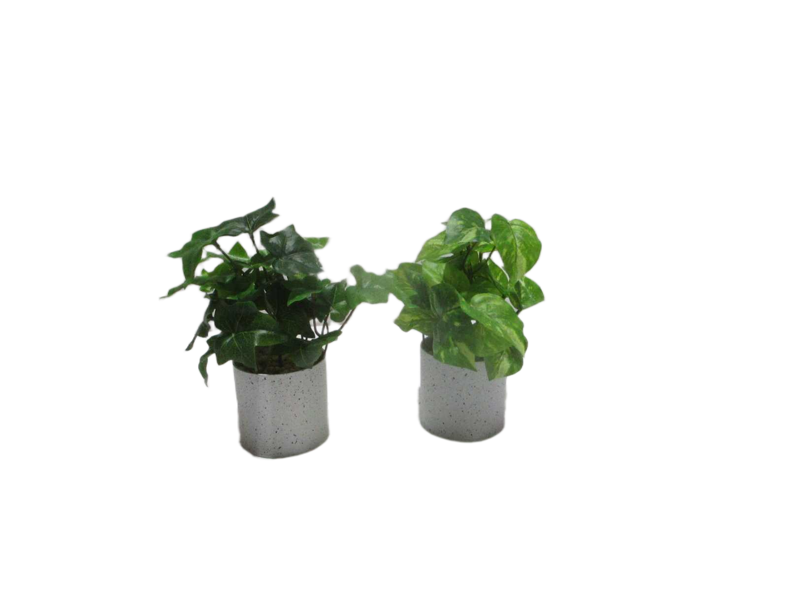 H26cm Real Touch Green Parthenocissus In Melamine Pot(Pot Size:d9.4 X H9cm)