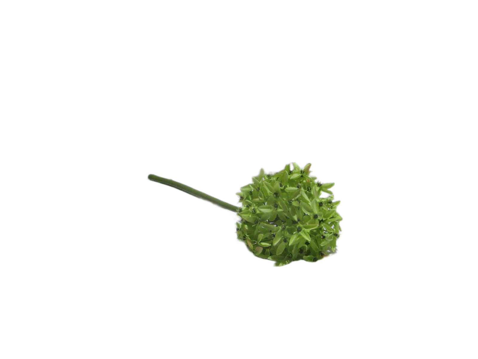 Ball Flowers
