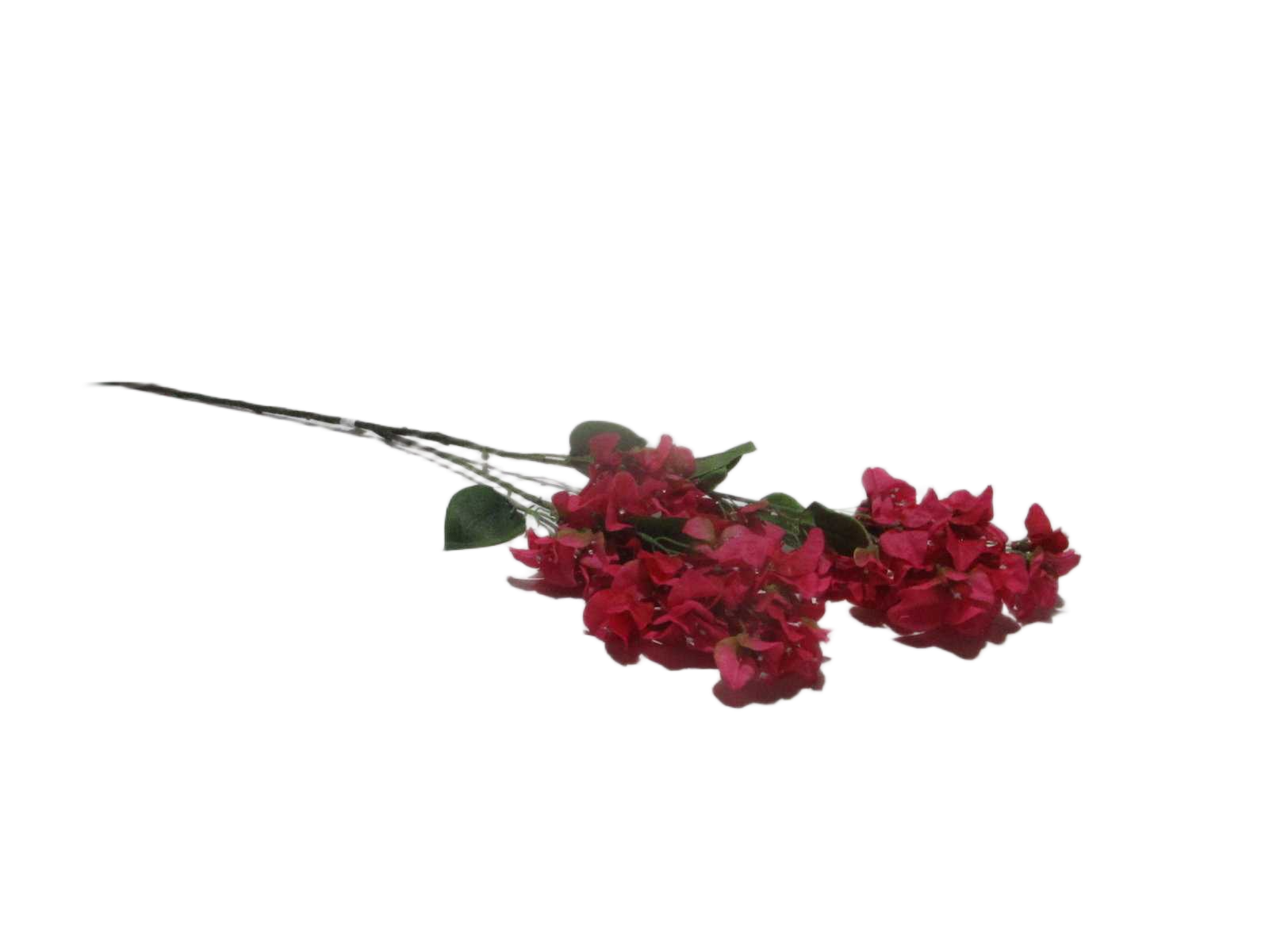 105cm Single Bougainvillea X 2 Branches