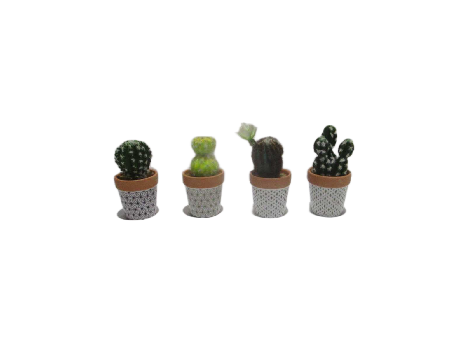 15cm Potted Succulent(Pot7.5*8cm)