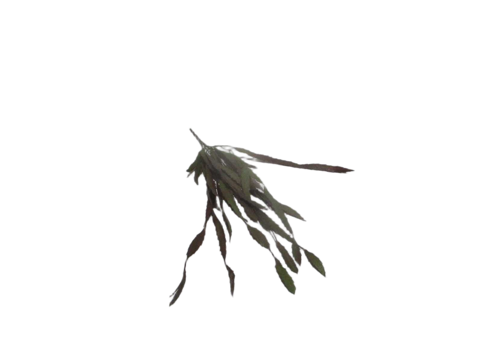 74cm Plastic Hanging Bush