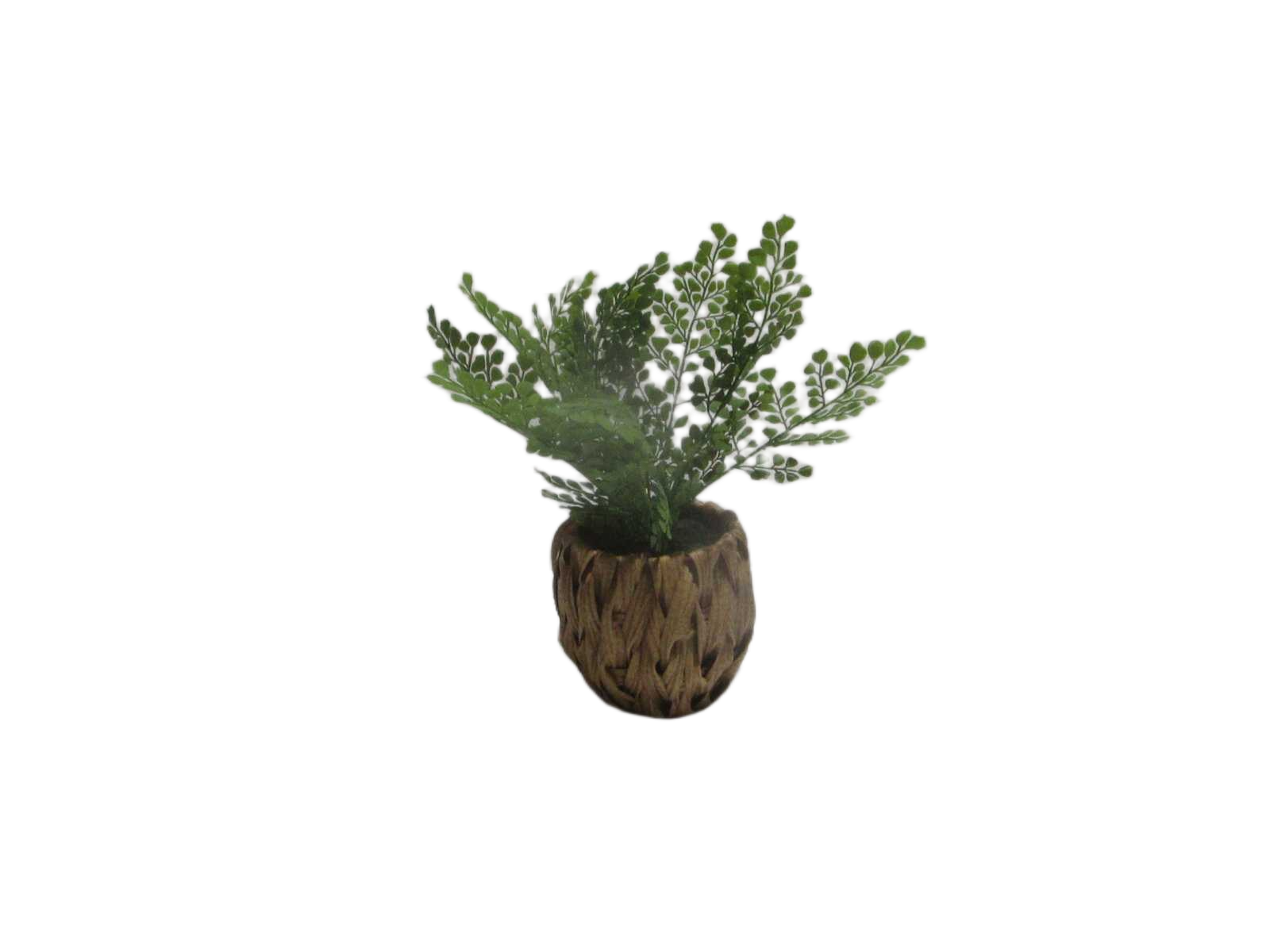 30cm Fern X 10 Lvs In Plastic Woven Basket(Basket Size:d11 X H13cm)