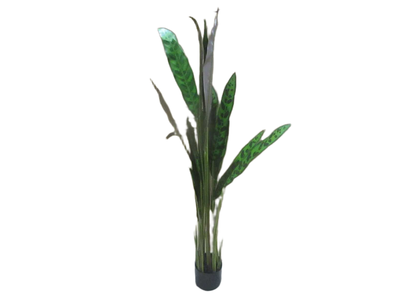 Artificial Plant 125cm Real Touch Goeppertia Tree X 20 Lvs In Pot
