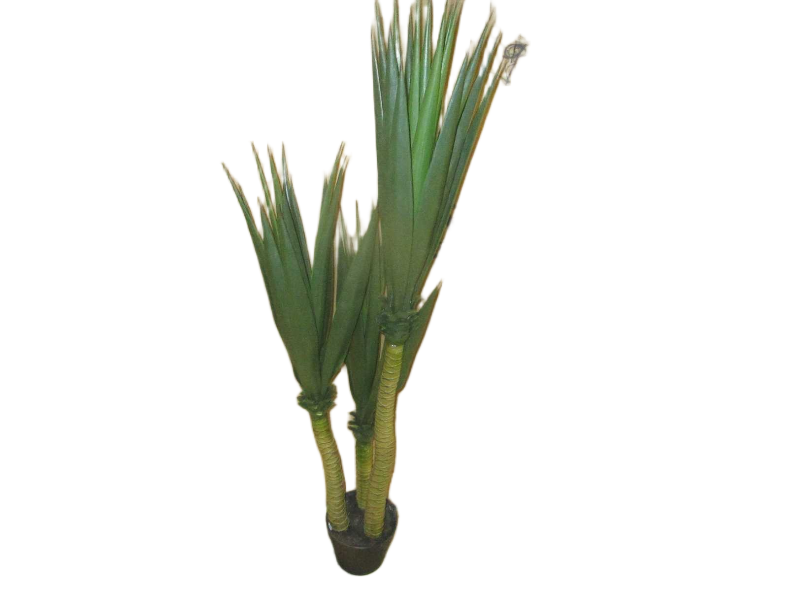 Artificial Plant 120cm Sisal Tree X 45 Lvs, W/Pot