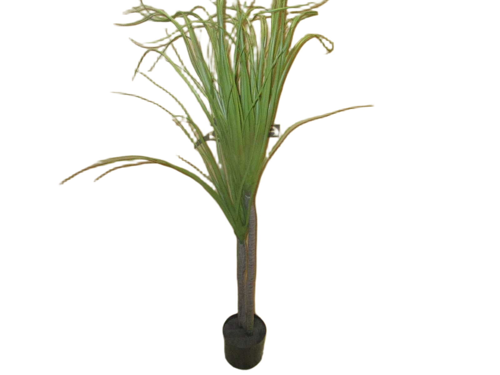 Artificial Plant 120cm Tillandsia X 2 In Plastic Pot