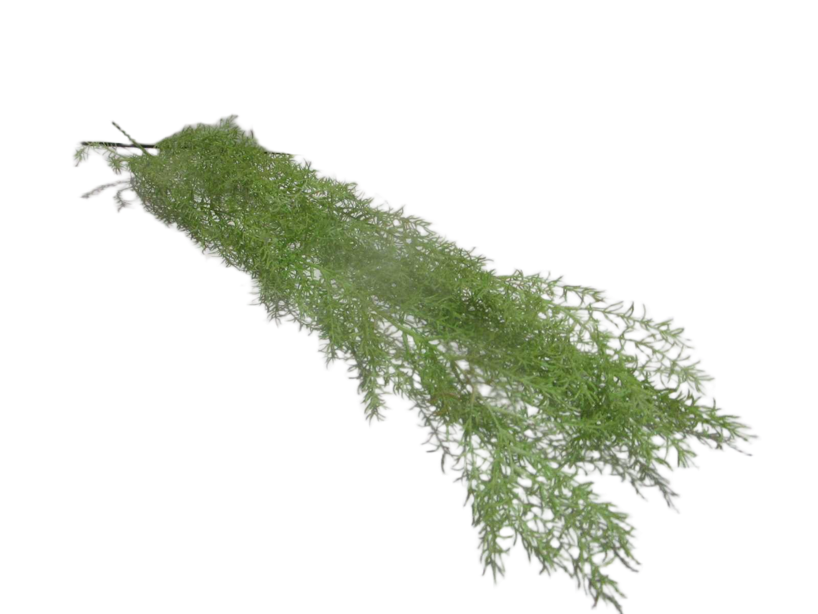 100cm Float Grass Vine X 3 Branches