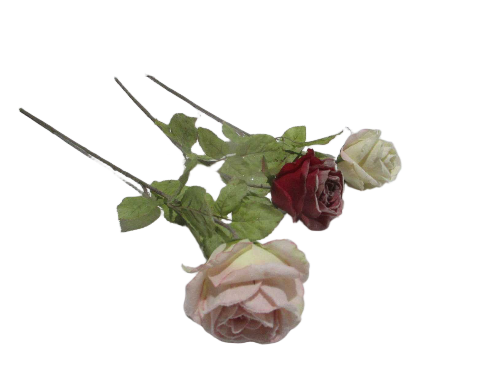 63cm Frost Snow Rose