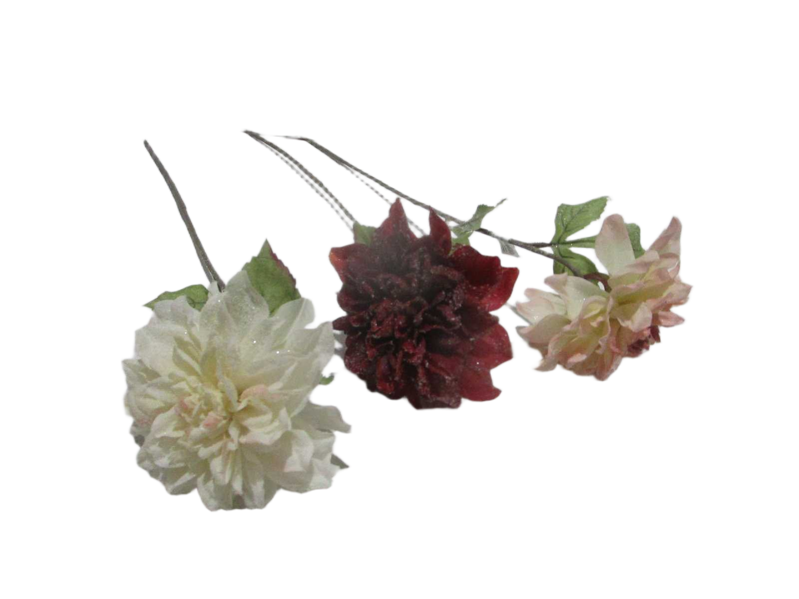 59cm Single Dahlia With Frost